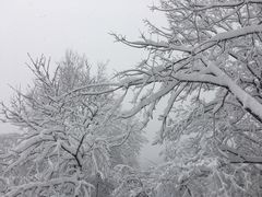 -紫金山天文台