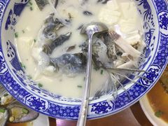 千岛湖浓汤鱼头-全乐鱼馆·淳牌有机鱼直营店