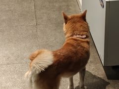 -三目仓咖啡(贤南路店)