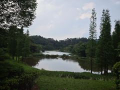 -国恩寺