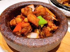 原汁农场萝卜牛腩煲-觅唐MITONG(鸟巢店)