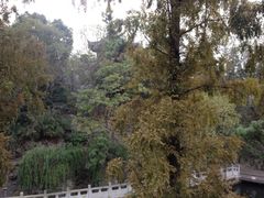 汇龙潭-汇龙潭