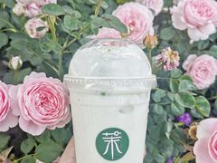 -茉酸奶(春熙路店)