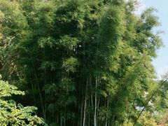 -广东温泉宾馆