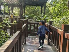 -上海佘山国家森林公园天马山园