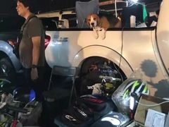 -席娜卡琳火车铁道夜市