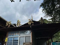 -野象谷景区