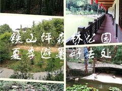 -铁山坪森林公园