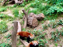 -大连森林动物园