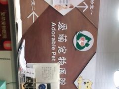 -美联众合宠物医院·爱萌分院·内外科·猫科中心