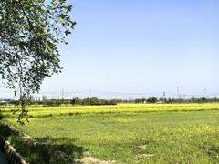 -嘉北郊野公园