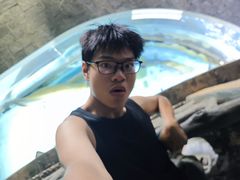 -苏州海洋馆