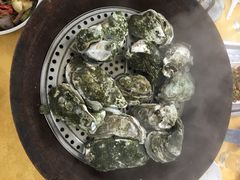 蚝-蚝专家(北滘店)