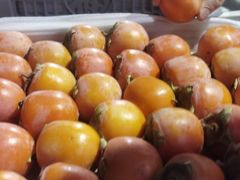 -徐州雨润农副产品全球采购中心