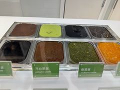 -Salud撒露欧洲冻酸奶(蓝色港湾店)