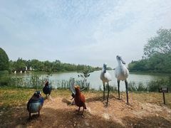 -苏州太湖国家湿地公园