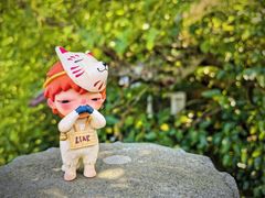 -普陀山慧济禅寺