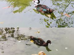 -广州神农草堂中医药博物馆
