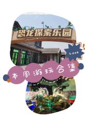 -恐龙探索乐园(磁器口店)