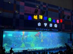 -泉城欧乐堡海洋极地世界