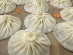 -东京包子楼(政七街店)