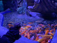 -鄂尔多斯野生动物园