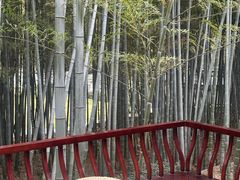 -求雨山文化公园