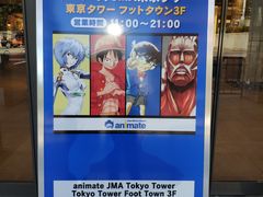-东京塔海贼王主题公园