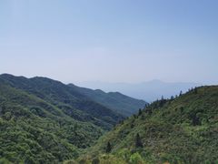 -大围山国家森林公园