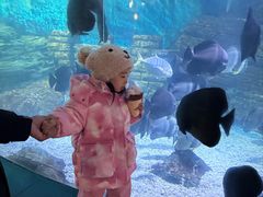 -烟台海昌鲸鲨海洋公园