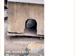 -昆明动物园