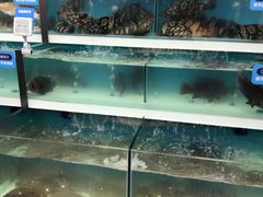 -盒马鲜生(大成店)