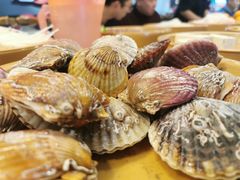 -龍歌自助小火锅(李沧丽达店)