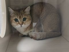 -博特宠物医院24h犬猫全科.骨科·异宠