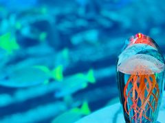 -亚特兰蒂斯•OSSIANO奥西亚诺海底餐厅