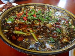 -葡萄园鱼庄(新津店)