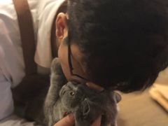 -共舞时光猫咖·狗咖(新街口店)