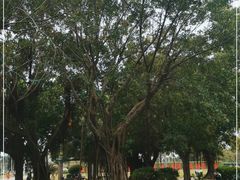 -万绿园