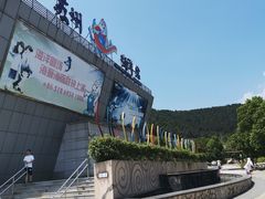 -苏州海洋馆