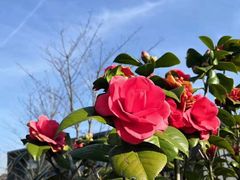 -中共上海市委党校 上海行政学院