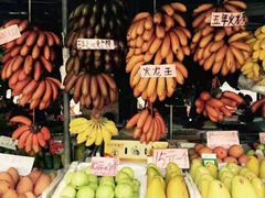 -大湾区中央湿地公园