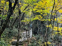 -燕子河大峡谷天坑仙境