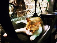 -虚荣精酿酒屋(五羊店)