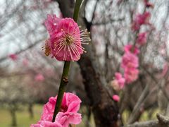 -蜀冈西峰生态公园