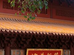 -深圳仙湖植物园