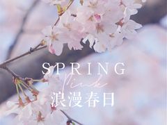 -顾村公园