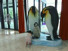 -广东省拱北口岸中国旅行社(华宾营业部)