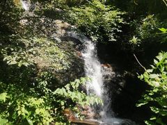 -东天目山风景区