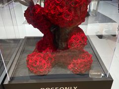 -ROSEONLY诺誓(广州K11店)