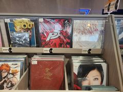 -浣熊唱片店(上海影城店)